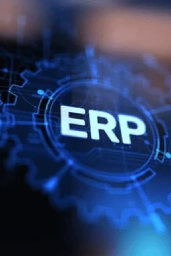 ERP Development & Optimization