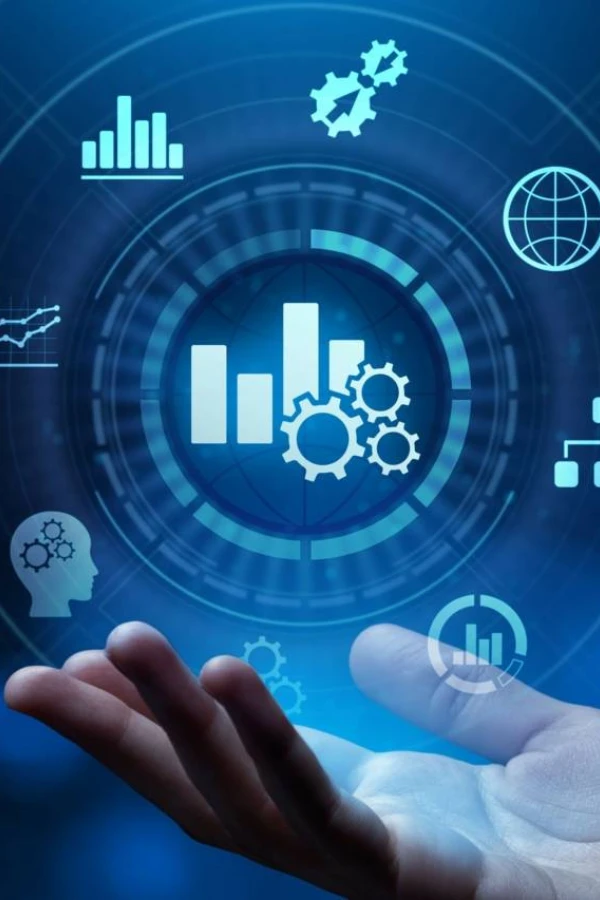 Insights, Automation & ROI